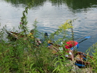 28.07-05.08.2012 Wanderfahrt auf der Donau (86).JPG